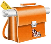 a school book bag